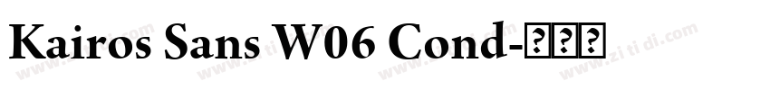 Kairos Sans W06 Cond字体转换
